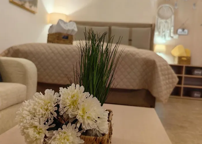 Apartamento влас комплекс амфора , студио 704